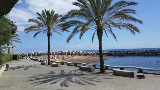 Casa Ventura Villa Arco da Calheta  Luaran gambar