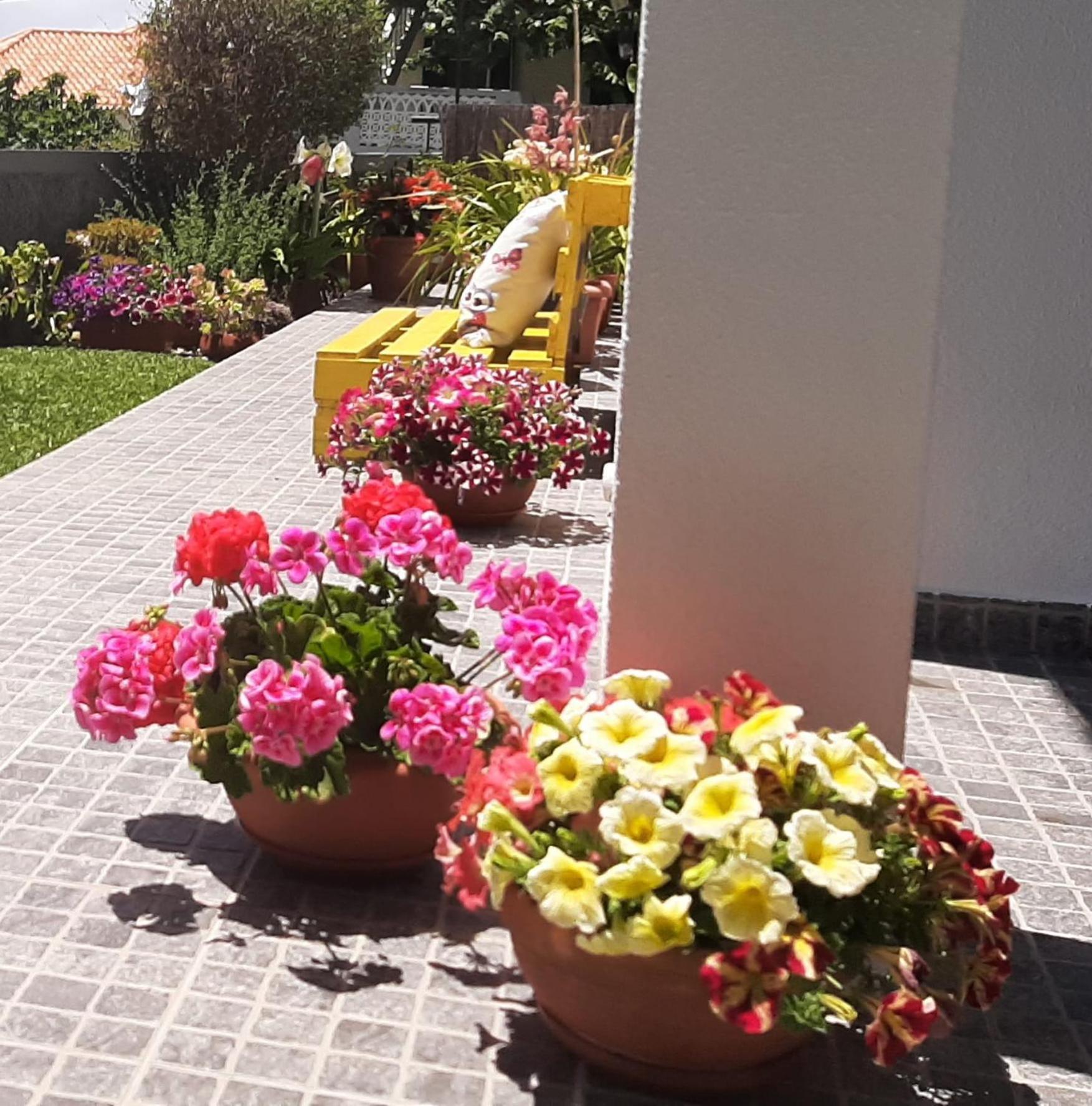 Casa Ventura Villa Arco da Calheta  Luaran gambar