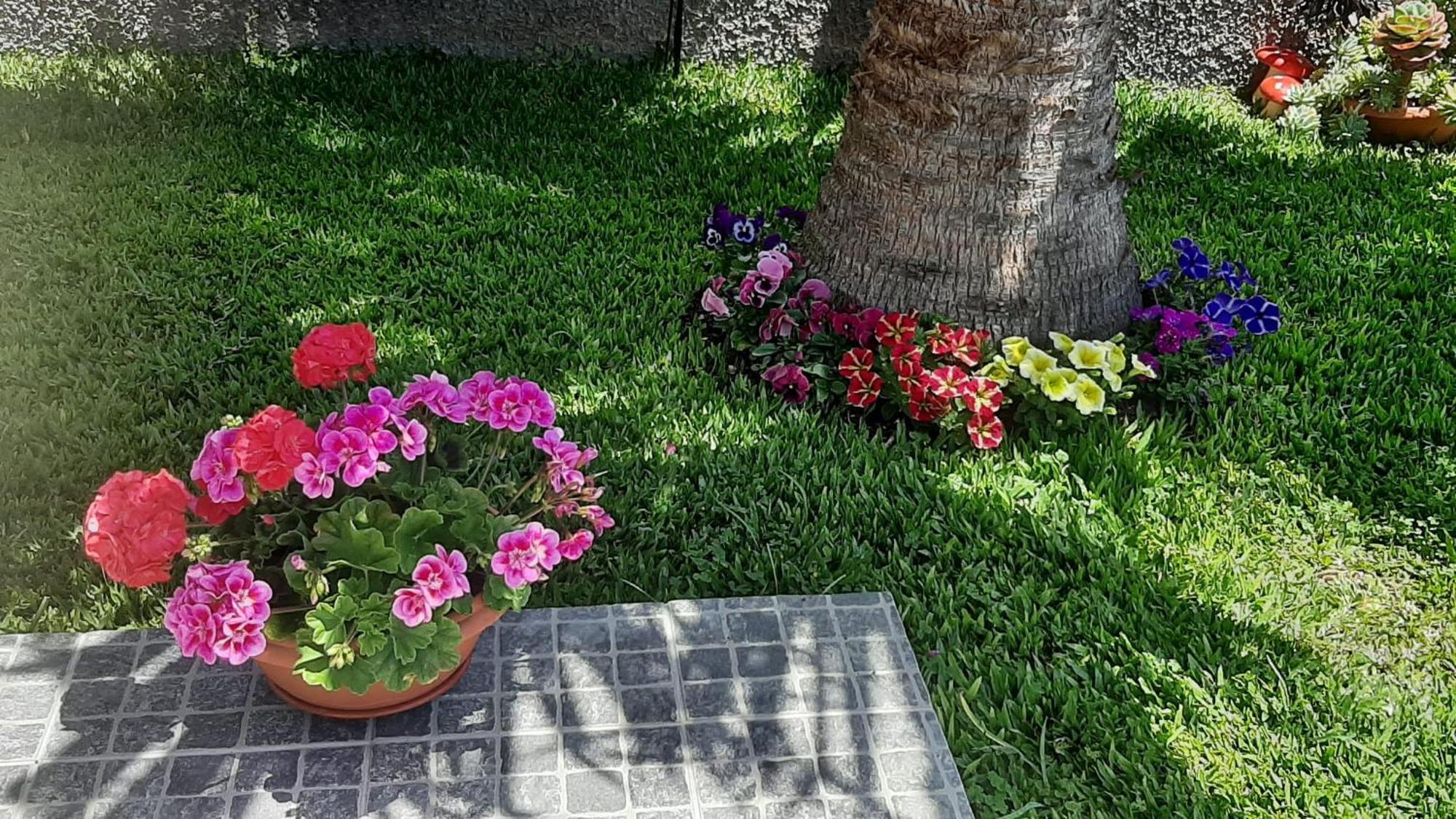 Casa Ventura Villa Arco da Calheta  Luaran gambar